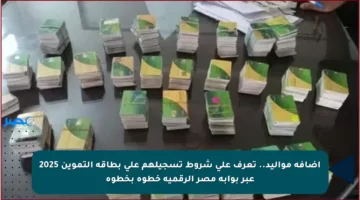 إضافة مواليد.. تعرف على شروط تسجيلهم على بطاقة التموين 2025 عبر بوابة مصر الرقمية خطوة بخطوة